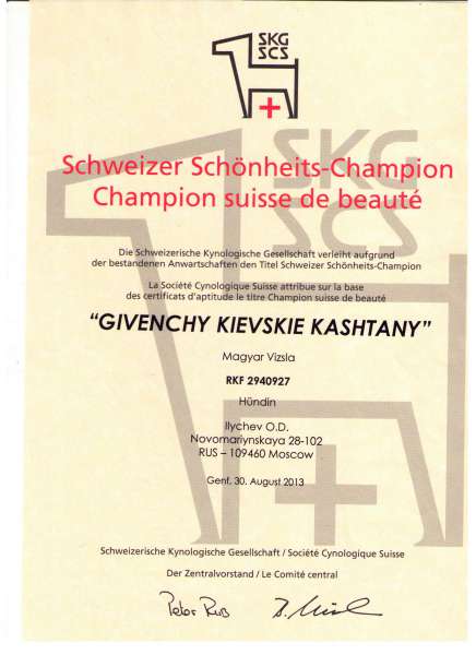 Givenchy Kievskie Kashtany9