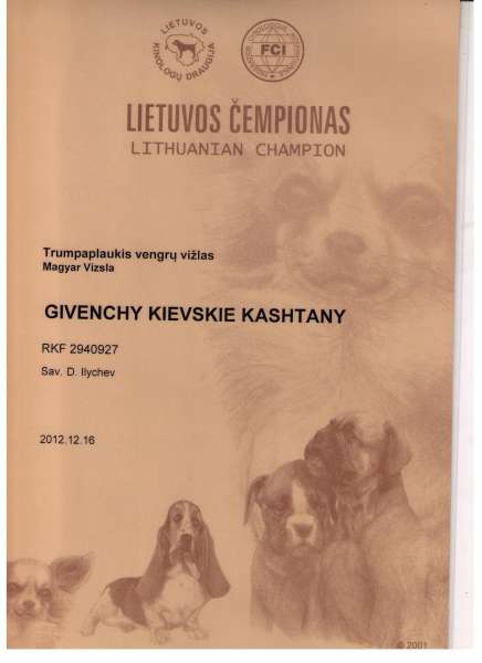 Givenchy Kievskie Kashtany5
